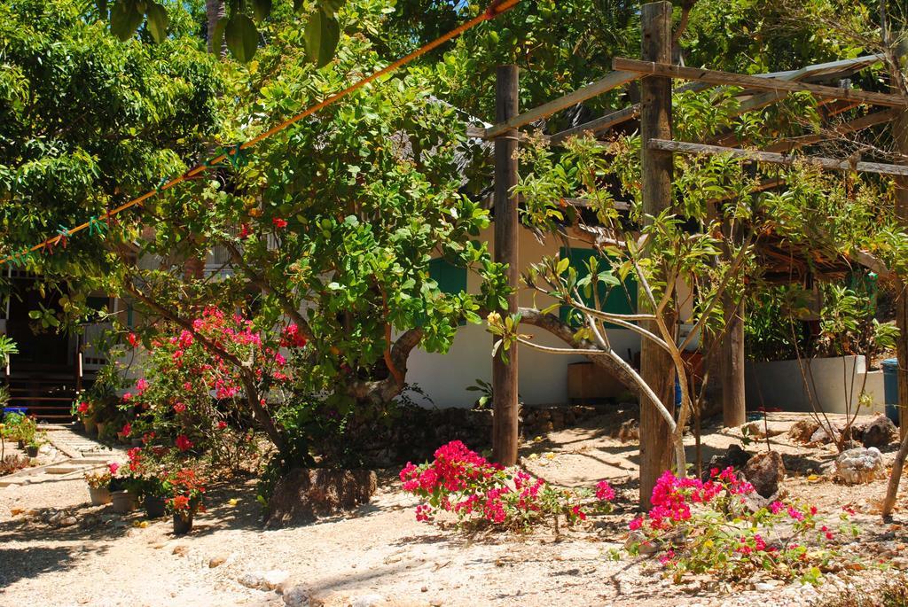 Alam Indah Beach Resort Бусуанга Экстерьер фото
